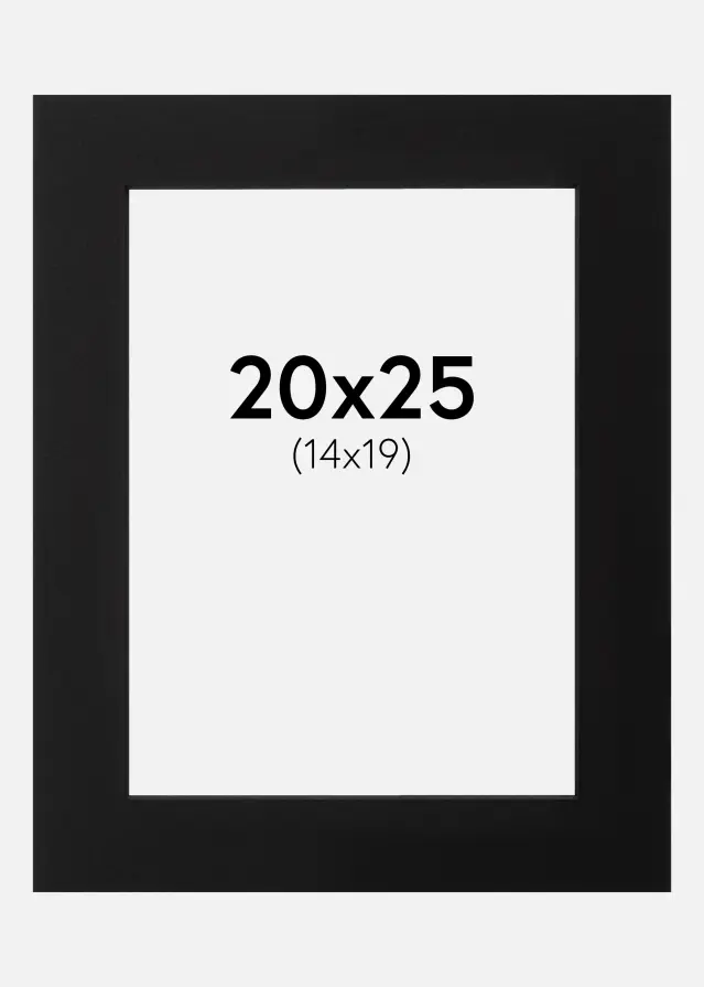 Passe-partout Noir (noyau noir) 20x25 cm (14x19)