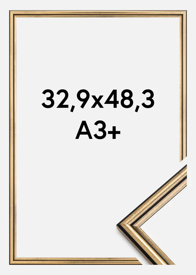 Cadre Horndal Verre Acrylique Or 32,9x48,3 cm (A3+)