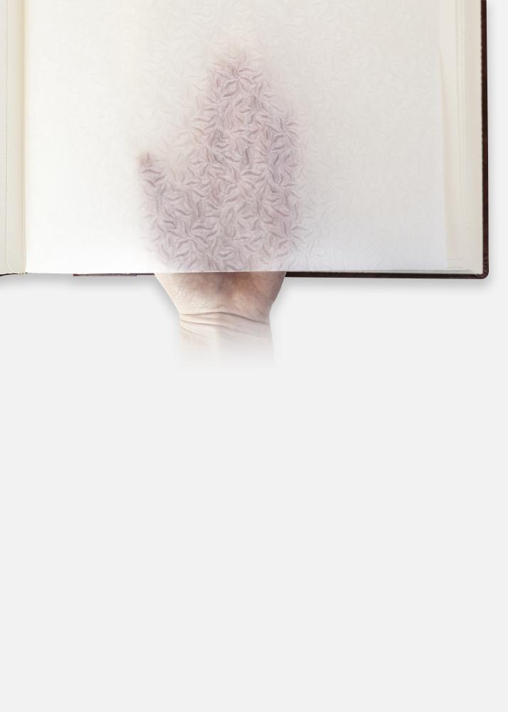 Madrid Album Brun - 30x31 cm (60 Pages brunes / 30 Feuilles)