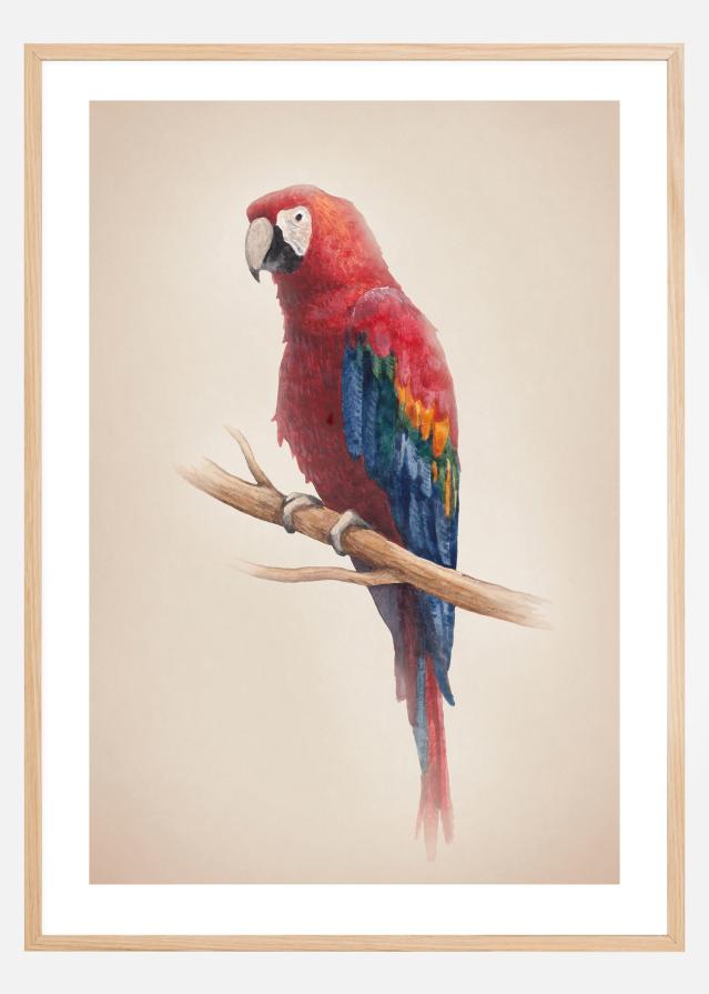 Tropical Parrot Poster