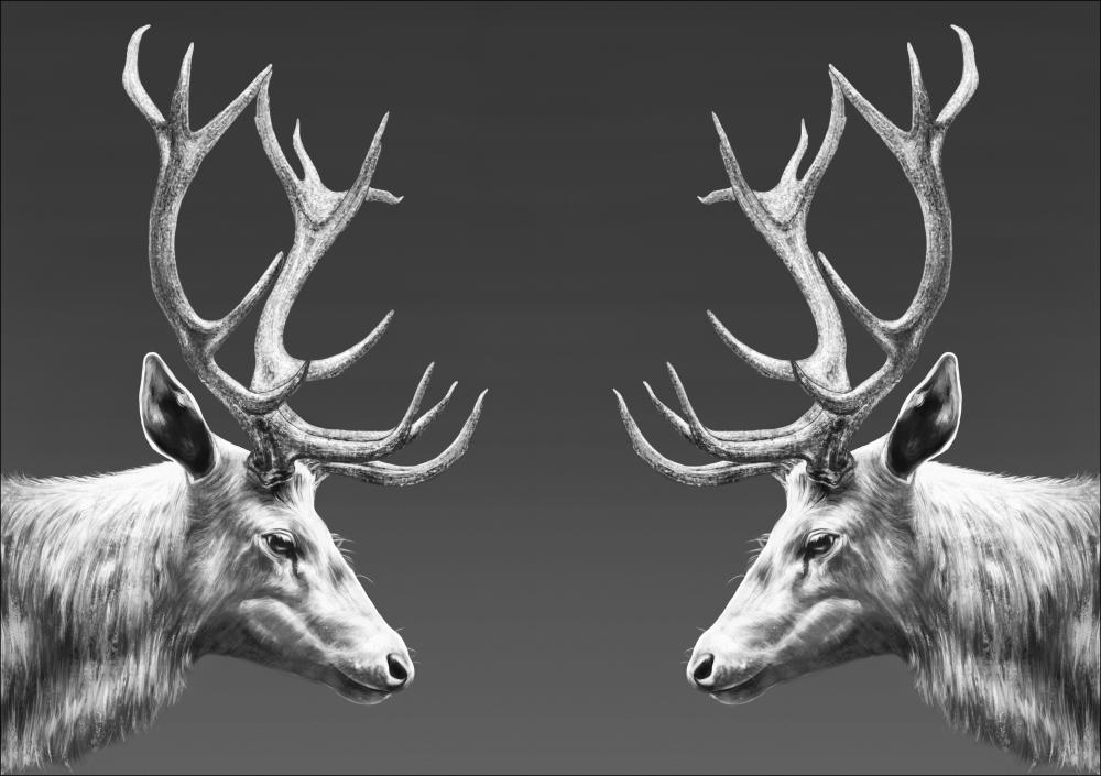 REINDEER DOUBLE Poster