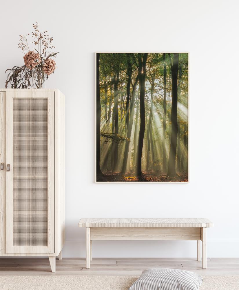 Sunny Start To The Day Poster