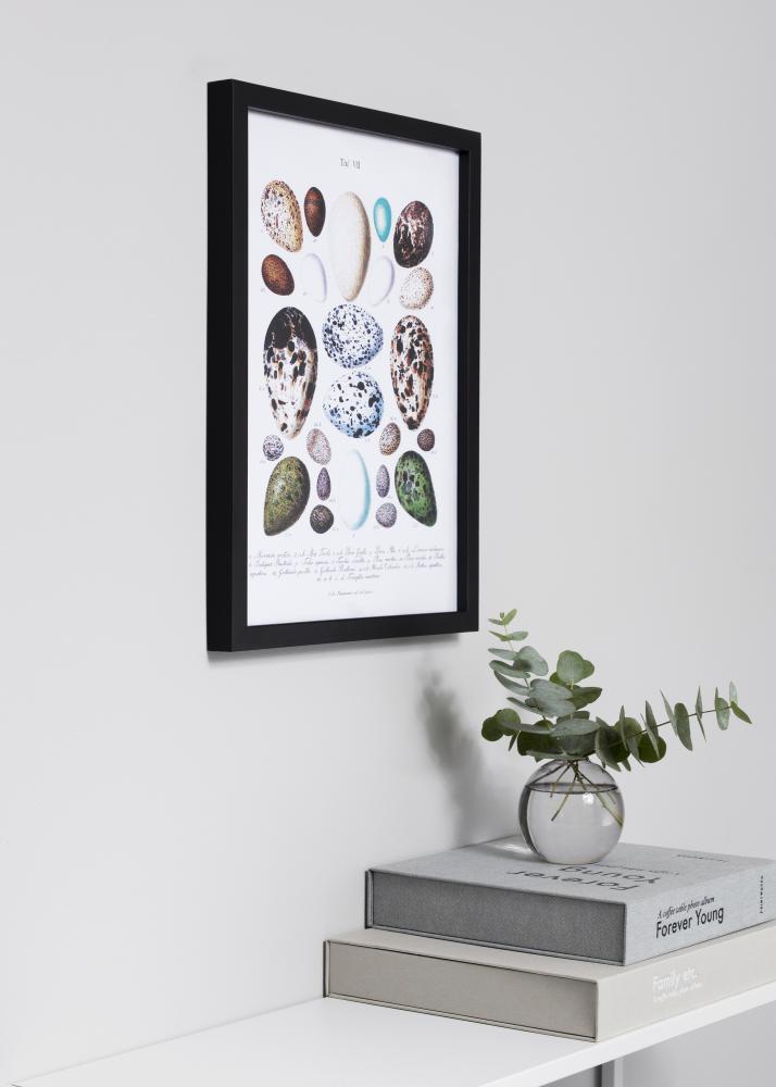 Exklusiv Svart 50x50 cm