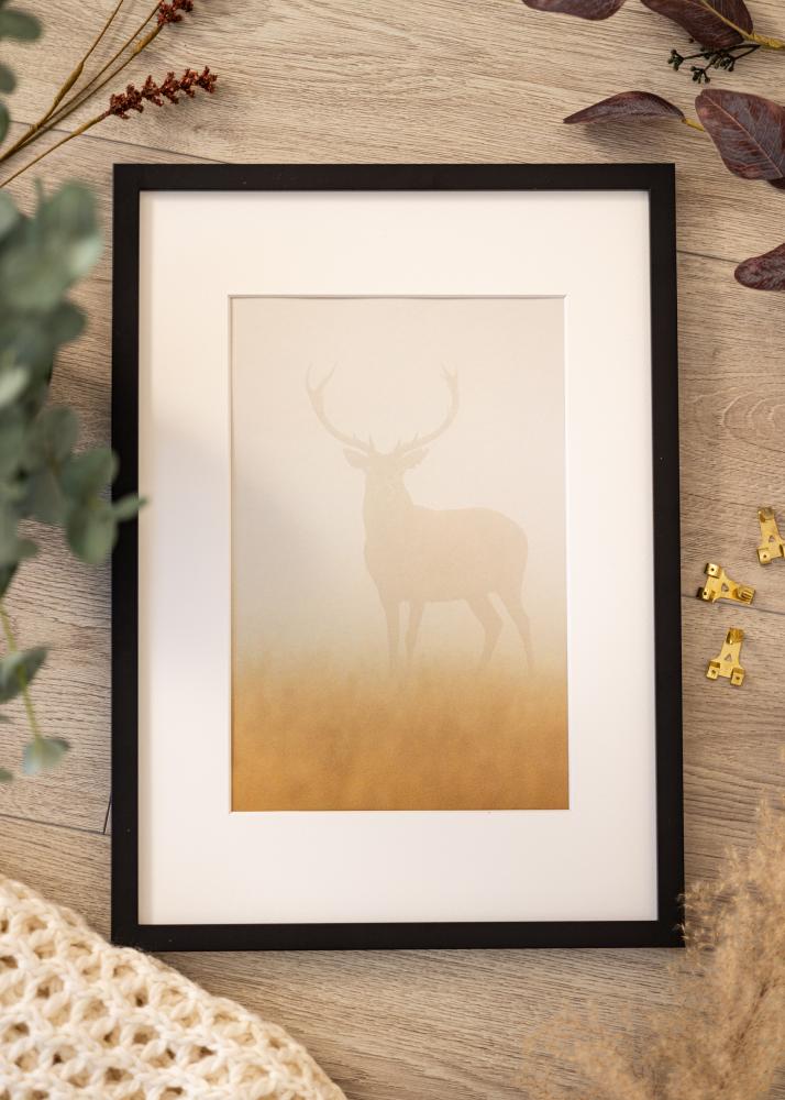 Cadre Modern Verre acrylique Noir 40x60 cm