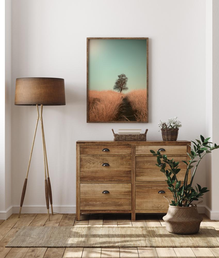 Grass And Path Poster