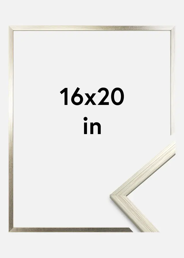 Cadre Edsbyn Verre Acrylique Argent 16x20 inches (40,64x50,8 cm)