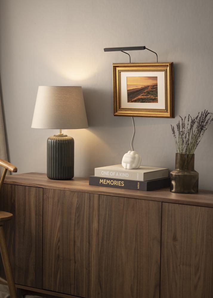 BLP 117 éclairage photo 25 cm - Noir