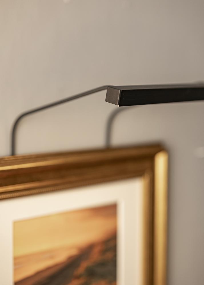 BLP 117 éclairage photo 25 cm - Noir