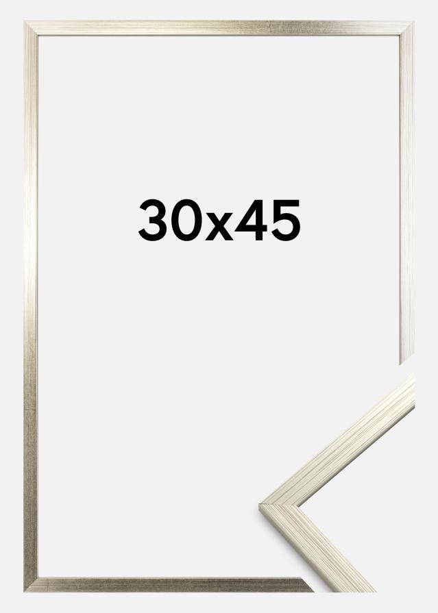 Cadre Edsbyn Argent 30x45 cm