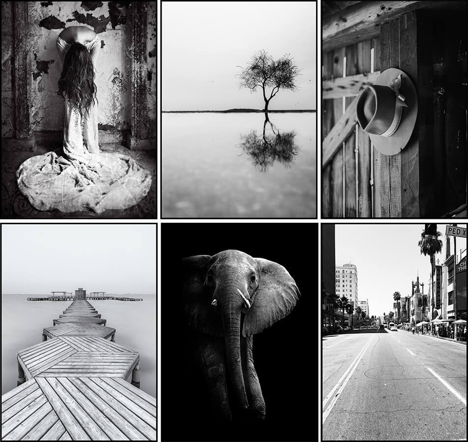 Posters avec photographies en noir et blanc